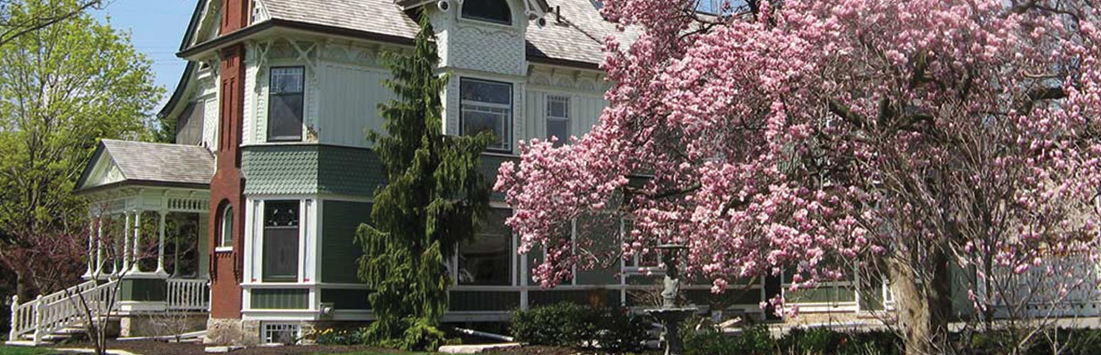 The spectacular blooming Magnolia tree in the garden of the renovated A.B Coleman Gingerbread House in downtown Burlington.